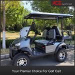 Off Road Club 4 Seater Golf Buggy Custom Golf Car Silver Color