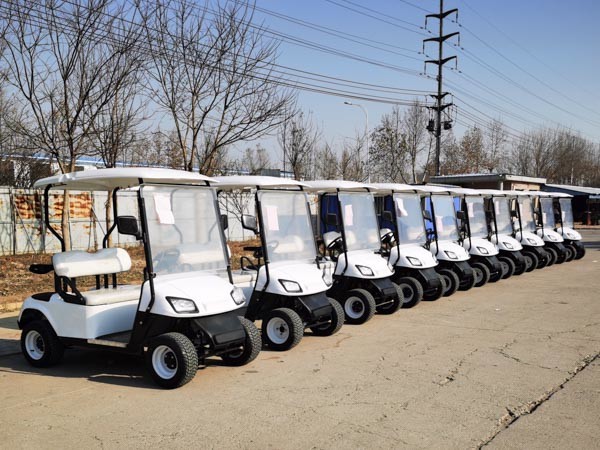 2021 Legal Street Aetric Community Sightseeiing Golf Carts 20Mph For Garden