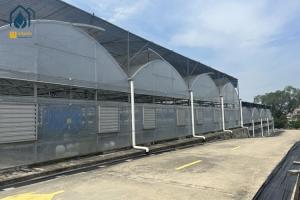 Wholesale Organic Farming Multi Span Greenhouse Large Commercial Greenhouses from china suppliers