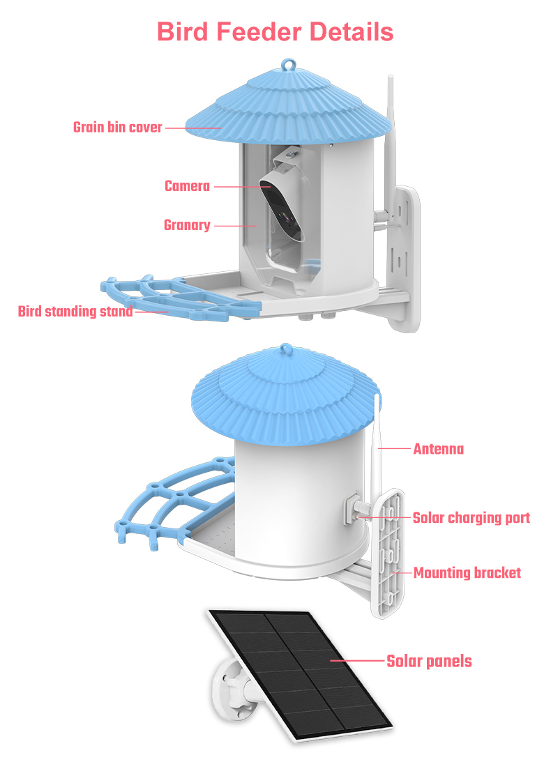 IP66 Waterproof 4MP Smart Bird Feeder 2.5L Wildlife Smart Bird Camera