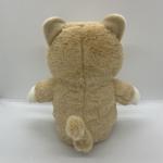 Talking Plush Cat Singing for Kids Repeat What You Say. Animated Toy Gift for