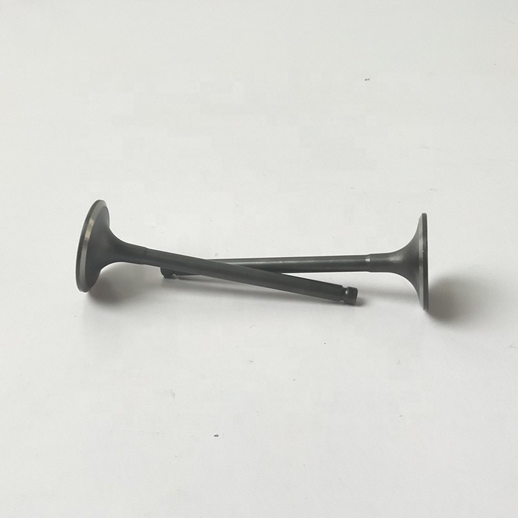 Engine Intake Exhaust Valve 4D0 Race Forged Engine Valves 30604-00100 30604-01101