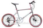 Ladies Aluminum 7 Speed 24 Inch Wheel Electric Bike