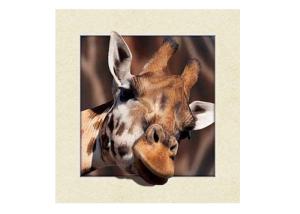 Wholesale Animal Stock 5D 3D Lenticular Pictures PET Printing Service Deer image from china suppliers