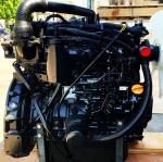 Machinery 4TNV98 4TNE98 Engine Assy For Complete Forklift Excavator
