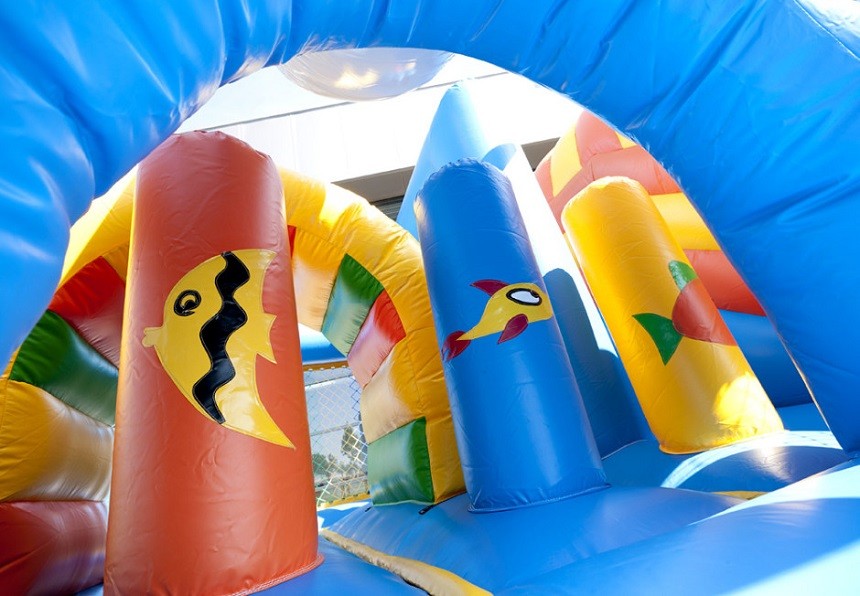 Whale Inflatable Combo