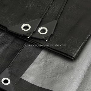 Wholesale 2m-100m Width Woven PE Tarpaulin for Construction Cover Truck Cover Tent Material from china suppliers