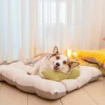 Filled PP Cotton Square Dog House Bed Pad Deer Fur Pet Mat Anti Moisture