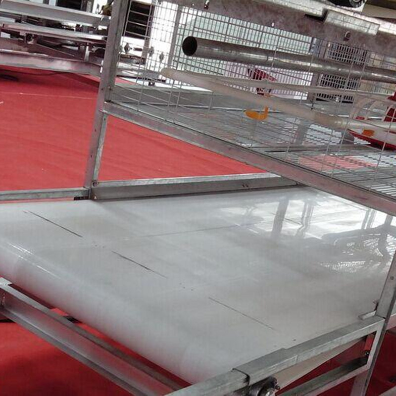Poultry Farm PP Poultry Manure Conveyor Belt Cleaning Belts 1.0mm/1.2mm