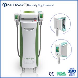 Wholesale New Upgrade Professional 2 handles powerful Cryolipolysis Fat Freezing Cellulite Reduction from china suppliers