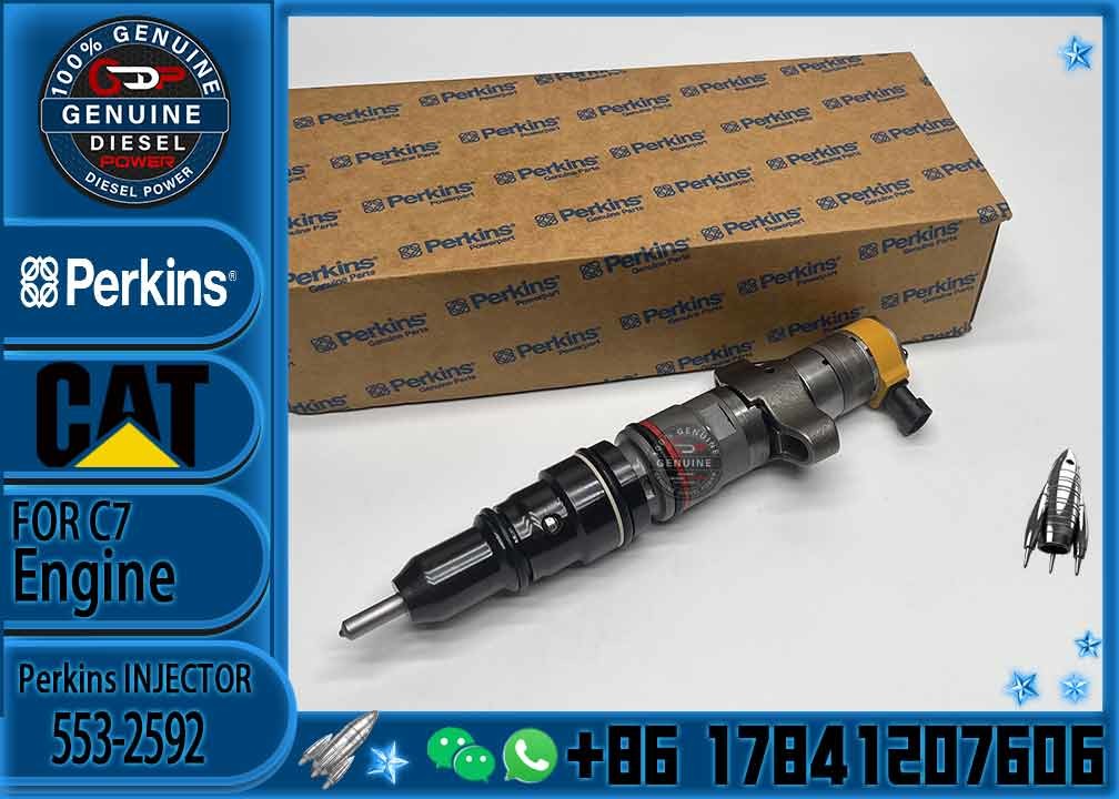 557-7637 Common Rail Fuel Excavator C9 Injector 387-9437 553-2592 459-8473