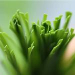Polypropylene PE Artificial Grass Yarn Synthetic For Landscape 5500 Dtex