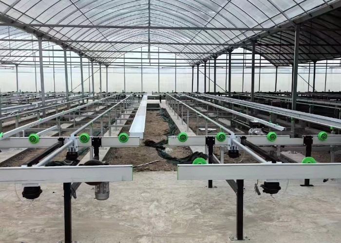 Growing System Rolling Greenhouse Tables Adjustable Shuttle Bench System Agriculture Movable Bench