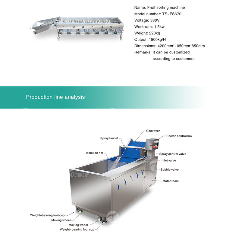 Circulating Hole Fruit Processing Line , Tengsheng Roller Conveying Vegetable Processing Line