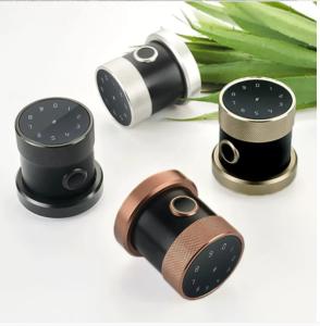 Wholesale SL01 Round Smart Fingerprint Door Lock Digital Wifi 150PCS Passcode Biometric Door Lock from china suppliers