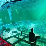 Northern Lights Experiential Theatre Indoor Immersive Cinema