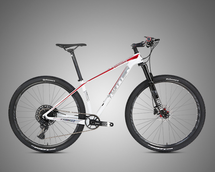 27.5 29er Carbon Firber Mountain Bike STORM2.0 RETROSPEC 13 Speed Groupset