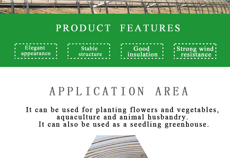 Single Layer PO Commercial Multi Span Polycarbonate Sheet Greenhouse for Agriculture