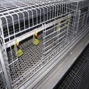 Wholesale Galvanized Broody Chicken Cage , 3 Or 4 Floors Chicken Raising Equipment from china suppliers
