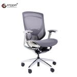 I - FIT Ergo Executive Online Office Chairs Curve Mesh Height Adjustable