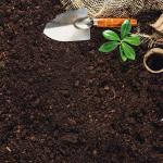 Agricultural Soil Lab Testing Business For Sale Global Certification Third-party
