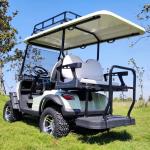 Basic 4 Seat EV Golf Cart 4KW AC Motor Acid Battery Electric Golf Buggy China