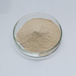 Wholesale Food Grade Neutral Protease Enzyme Feed Grade Protease Powder from china suppliers
