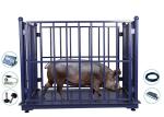 LED Portable Cow Weight Machine , 1000Kg Portable Animal Scales
