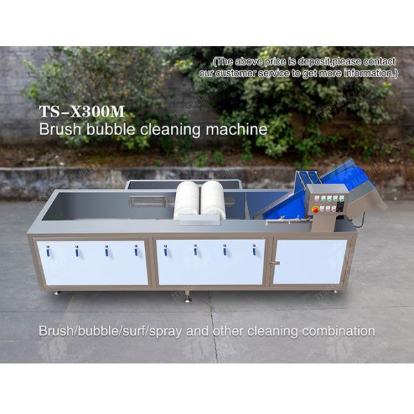 250KG The manufacturer provides a reversible air dryer for fruit ozone disinfection and fruit washing machine