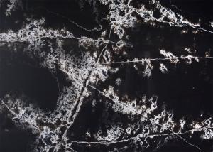 Wholesale Polished Artificial Black Kitchen Floor Tiles , Anti Slip Black Stone Quartz from china suppliers