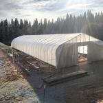 Large Tunnel Blackout Polyhouse Light Deprivation Agricultural Greenhouse