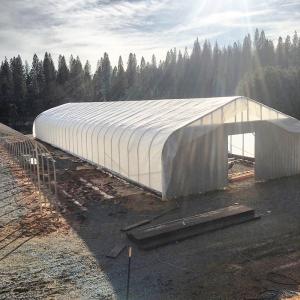Wholesale Large Tunnel Blackout Polyhouse Light Deprivation Agricultural Greenhouse from china suppliers