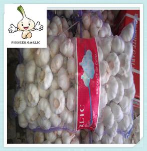 Wholesale Hot selling purple garlics with great price 100% Natural Garlic from china suppliers