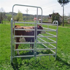Wholesale Portable Sheep Panels / Steel Cattle Fence Panels Round Pen Fence Corral Panels from china suppliers