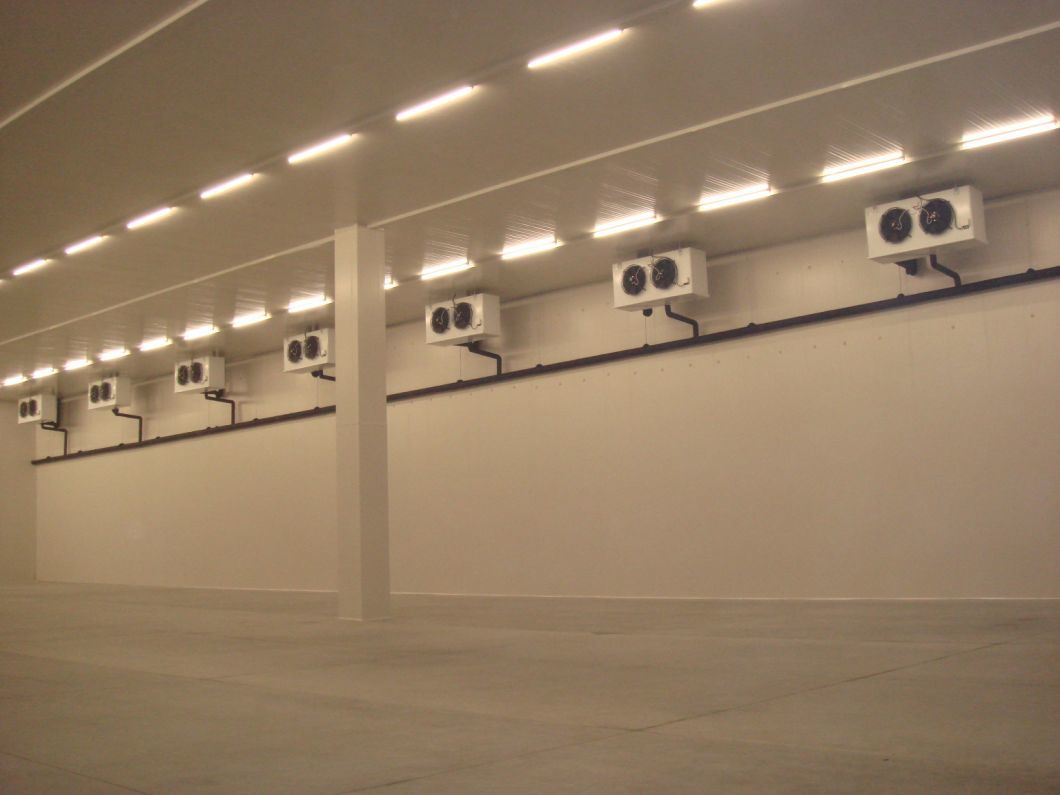 Commercial Freezer Room Refrigeration Parts Wail in Freezer for Sale