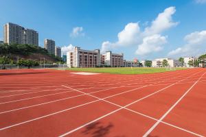 Wholesale 0.66N/mm2 Athletic Track Surfaces 13mm Synthetic Sport Ground Flooring from china suppliers