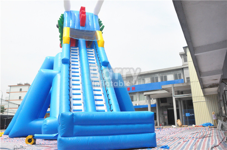 Adult Inflatable Water Slide