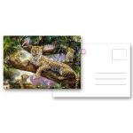 PET/ PP Lenticular Postcard Printin 3D / Flip Effect Dinosaur Image Card