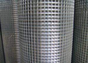 Wholesale Pvc Coated Galvanised Welded Wire Mesh 50x50 For Bird Cage from china suppliers