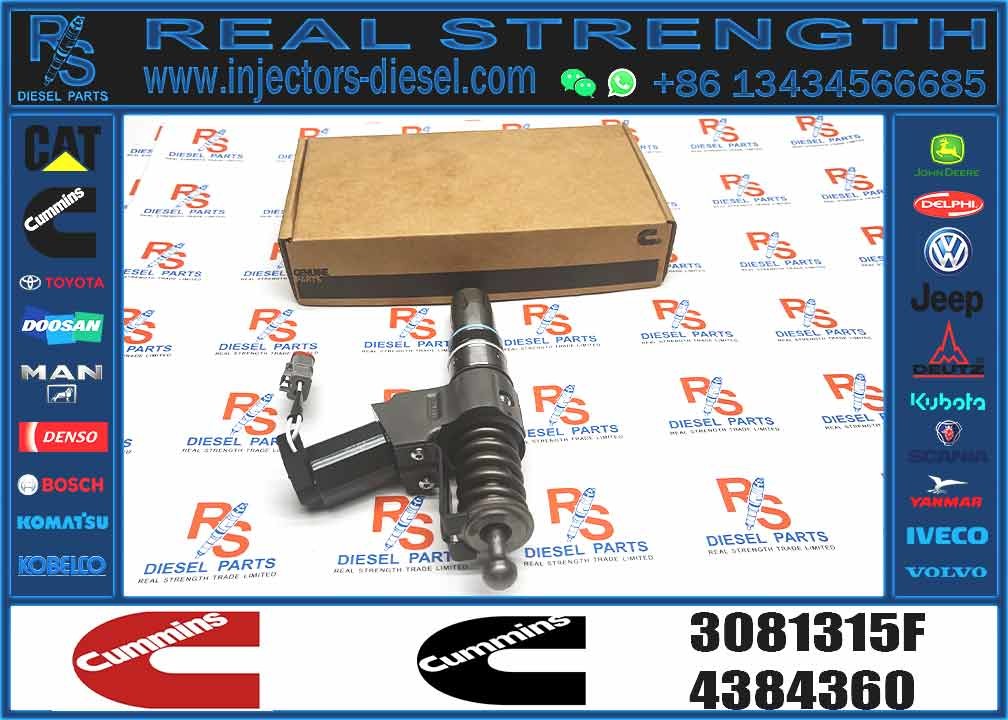 High Quality 3081315F Common Rail Injector 3081315F Auto Parts Injector