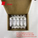 5A 700VDC EV1845 10kA Breaking Capacity Screw Mount DC Fuse for Electric