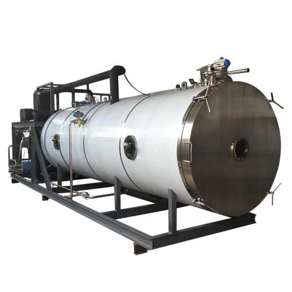 Instant Food Vegetable Rice Drying Machine Large Automatic Freeze Dry Vacuum
