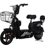 14 Inch Full Suspension Electric City Bike 350W 48V 12ah 2 Seat Electric Bicycle