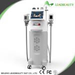 Salon equipment stationary effective 5 handles fat freezing machine cryolipolysi