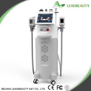 Wholesale 2016 most professional 5 handpieces cryolipolysis slimming machine from china suppliers