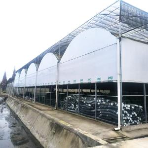 Wholesale Steel Tructure Agriculture Large Tunnel Black White Film Light Deprivation Blackout Greenhouse from china suppliers