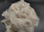 Friction Resistant Aramid Fiber Flame Retardant 2D 51MM