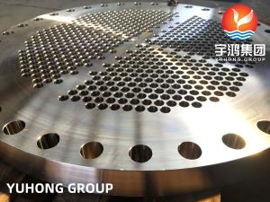Wholesale ASME SA965 F321H Heat Exchanger Boiler Pressure Vessel Tube Sheet from china suppliers