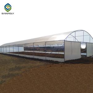Wholesale 0.20mm Cucumber Plant Pe Film Single Tunnel Greenhouse from china suppliers