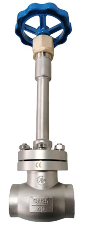 DN25 Cryogenic Globe Valves For LNG LOX LIN LAr CO2 PTFE Valve CF8 CF3